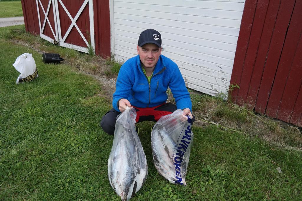Holmset Camping And Fishing Namdalseid Экстерьер фото